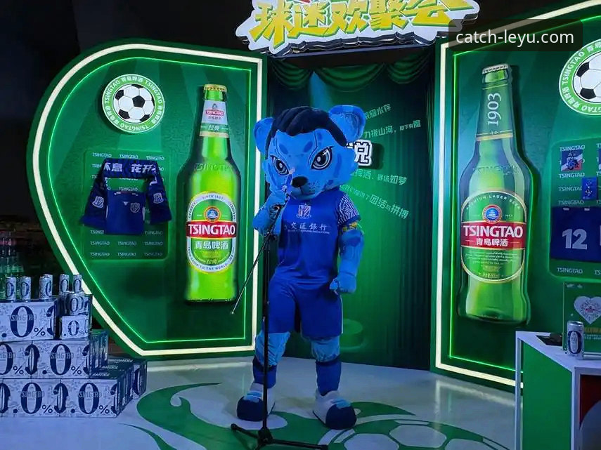 阿根廷友谊赛大捷与沉浸式观赛体验详解